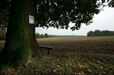 Primátor představí občanům projekt rozšíření VTP 