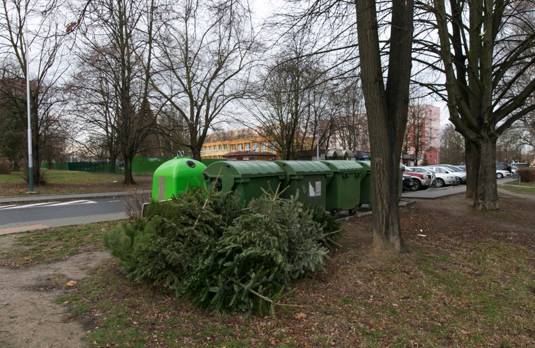 Vánoční stromky začnou svážet 9. ledna