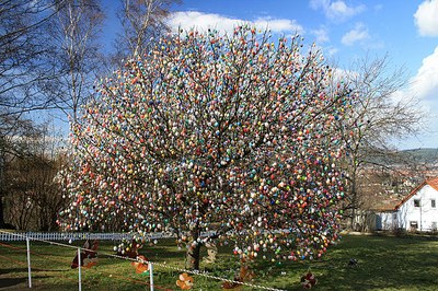 Občané Poruby budou moci ozdobit velikonoční strom