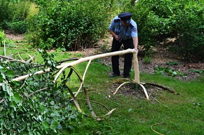 Neznámý vandal poničil lípy v Zámeckém parku. Foto: ÚMOb Poruba