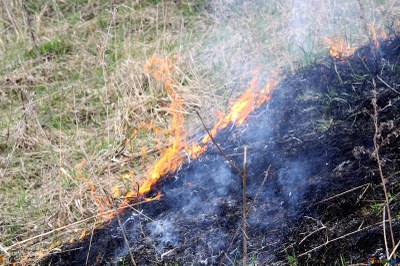 Kvůli suchu hrozí požáry