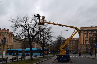 Instalace světelných řetězů na Alšově náměstí. Foto: Martin Otipka