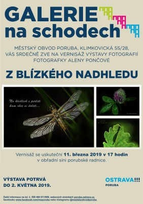 Radniční galerie představí krásy přírody