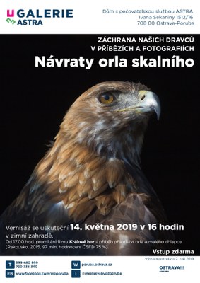 V Galerii Astra se seznámíte s projektem na záchranu orla skalního