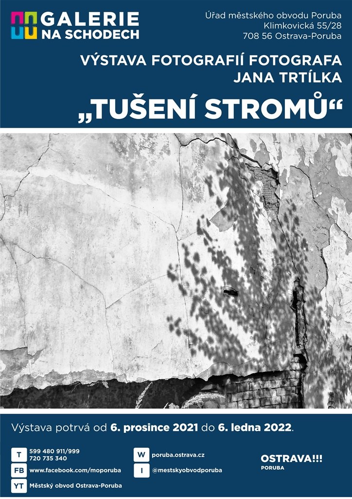 Tušení stromů – černobílé snímky v radniční galerii