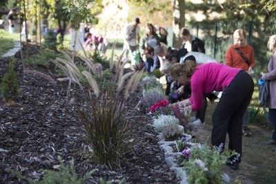 Zelená pro Ostravu – výzva OZO Ostrava 
