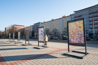 Obrazy Martina F. Ruska jsou vystaveny na Hlavní třídě. Foto: Jiří Birke