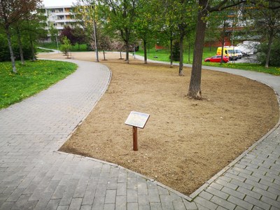 Poruba vysadila nové květinové louky