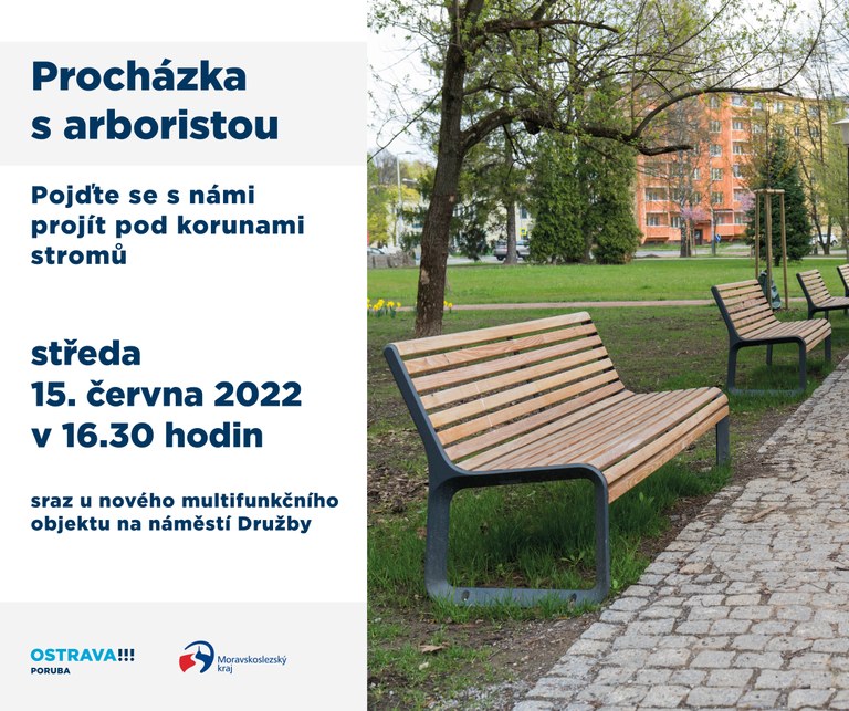 Procházka s arboristou