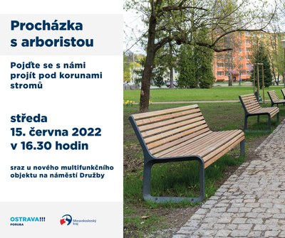 Procházka s arboristou