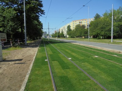 Tišší a zatravněná tramvajová trať pro Porubany. DPO zmodernizuje koleje i zastávky na ul. Opavská