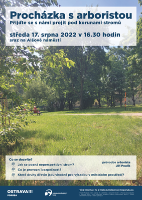 Alšovou ulicí s arboristou