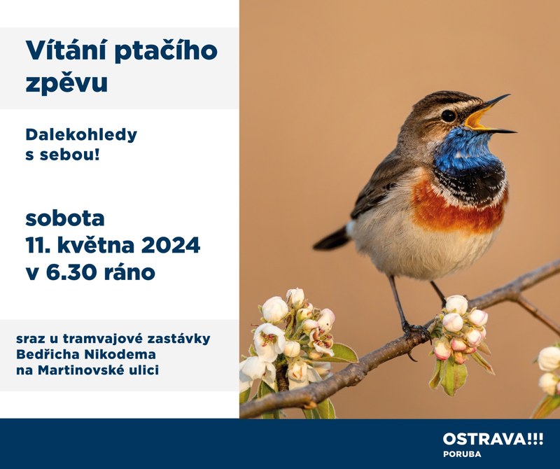 Vítání ptačího zpěvu s Markétou Cichou