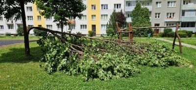 Poničený strom po středeční bouřce. Foto: ÚMOb Poruba