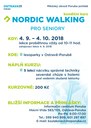 Nordic walking