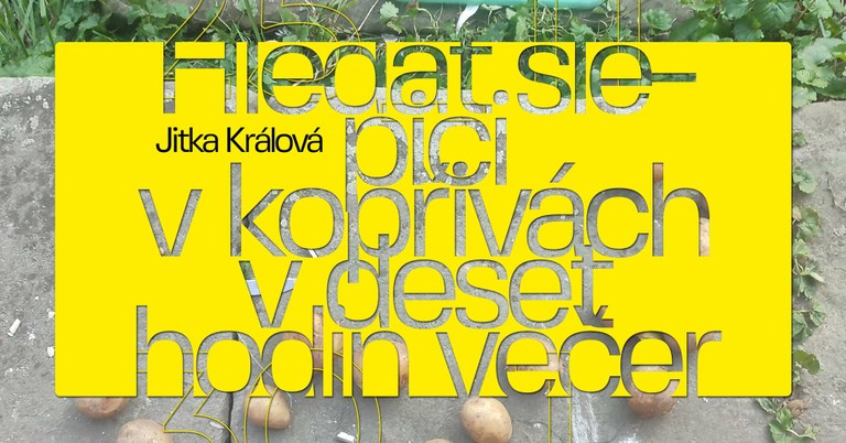  Galerie Dukla představí práce Jitky Králové