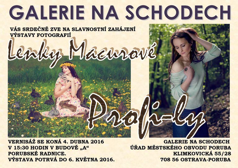 Galerie na schodech nabídne portréty i přírodu