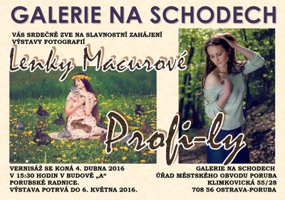Galerie na schodech nabídne portréty i přírodu