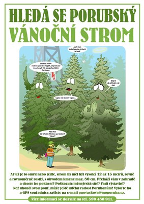 Hledá se vánoční strom