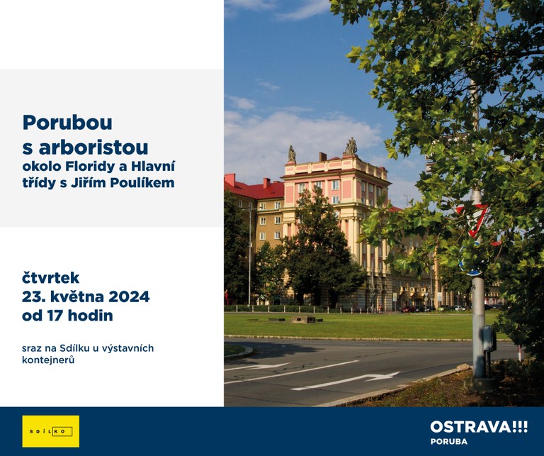 Porubou s arboristou