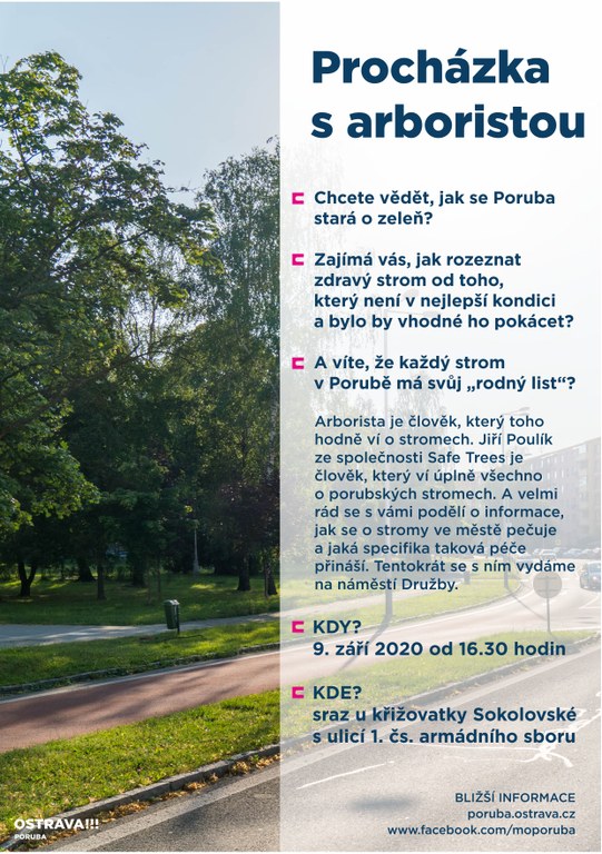 Procházka s arboristou
