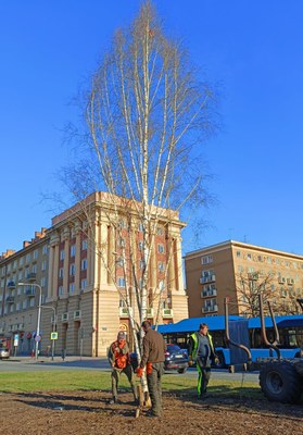Na Alšově náměstí stojí velikonoční strom