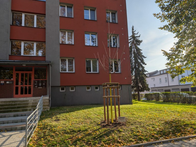 OZO Ostrava podpoří výsadbu zeleně
