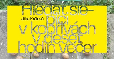 Galerie Dukla představí práce Jitky Králové