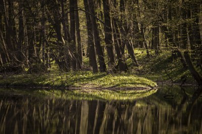 Moravskoslezský kraj objektivem mladé generace