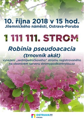 Sedmijedničkový strom bude vysazen v Porubě. Bude to akát s růžovými květy