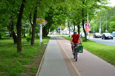 V Porubě začíná výsadba stovek stromů