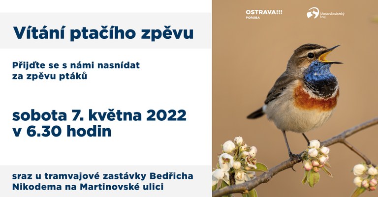 Vítání ptačího zpěvu
