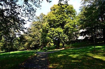 Zámecký park chce být zelenou oázou spojující starou a novou zástavbu města